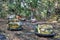 Bumper cars at the abandoned amusement park near Pripyat, Ukraine, in the Chernobyl exclusion zone.