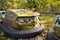 Bumper cars in amusement park in Pripyat