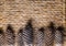 Bumps on a wicker background