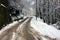 Bumpy and poorly paved road trail on mountain winter snow white dirt trail in forest