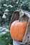 Bumpy pumpkin in a weathered basket on porch steps.