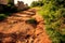 Bumpy road heavily eroded hill road