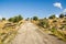 Bumpy road in Puglia countryside - Gargano