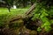 Bunce Island, Sierra Leone, West Africa - British slave trading