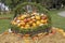 Bunch assorted gourds, zucchini, pumpkin and winter squash