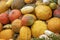 Bunch assorted gourds, zucchini, pumpkin and winter squash