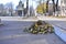 A bunch of autumn leaves swept the cleaners to the edge of the asphalt road to the sidewalk, a boring rainy day, in the background