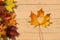 A bunch of autumn maple leaves lie on a wooden table. Nearby lies one sheet with a cut out heart.