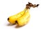 Bunch of baby banana on white background