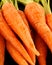 Bunch of baby carrots