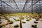 A bunch of baby plants growing inside of pots inside of a greenhouse nursery