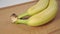 Bunch of bananas close up of two unpeeled exotic fruits with green stem