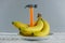 Bunch of bananas and hammer on wooden background