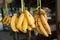 Bunch of bananas hanging