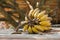 Bunch of bananas on old galvanized iron