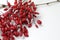 A bunch of barberry on white background with copy space