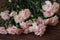 Bunch of Beautiful Pink Carnation Flowers Closeup on Wood Background