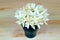 Bunch of beautiful white Millingtonia flowers in a deep blue vase on wooden table