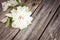 Bunch, bouquet of white peonies on a wooden background. Frame of flowers