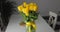 Bunch bright intense yellow tulips glass vase decorated band and bow. Spring