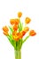 Bunch of bright red orange color tulips in vase against white background