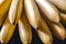 Bunch of bright small unpeeled ripe bananas