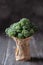 Bunch of broccolini on wooden table