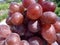 Bunch of burgundy grapes. Close-up (grade red globe).