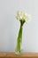 Bunch of callas in the vase