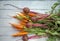 A bunch of carrots and beetroots . Fresh carrots, beetroot  heap with green stems. Raw Carrots and beetroot on rustic  wooden back