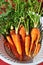 A bunch of carrots in white colander