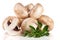 A bunch of champignon mushrooms with leaf parsley on white background