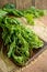 Bunch of chayote on rustic wooden table