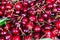 Bunch of cherries