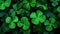 Bunch of clover leafs surrounded by drops of rain water. Generative AI