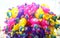 A bunch of colorful balloon toys.