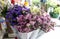 Bunch of colorful statice flower at local store for sell at On N