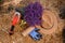 .A bunch of cut lavender in a wicker basket and pruning shear against a backdrop of flowering lavender fields. Lavander Harvesting