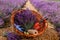 .A bunch of cut lavender in a wicker basket and pruning shear against a backdrop of flowering lavender fields. Lavander Harvesting