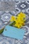 Bunch of daffodils narcissus tied with string with a blank blue tag on a tiled surface.  Spring Saint Davidâ€™s Day concept