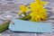 Bunch of daffodils narcissus tied with string with a blank blue tag on a tiled surface.  Spring Saint Davidâ€™s Day concept