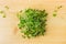 Bunch of daikon radish microgreen sprouts on the wooden table top view. Radish green shoots at the kitchen table.