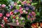 Bunch of daisies in French flower shop