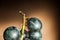 A bunch of dark blue grapes on a dark background in the conditions of artificial hard lighting close up. Grapes, cut in half, grap