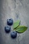 A bunch of delicious blueberries with green leaves vintage light surface