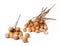 A bunch delicious longan on white background