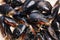 Bunch of delicious mussels over white isolated background