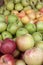 Bunch of different organic apple types displayed on sale on farmer`s market stand show richness and diversity