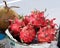 Bunch of Dragonfruit on a market stall