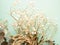 Bunch of dried flowers and eucaliptus branches on green background